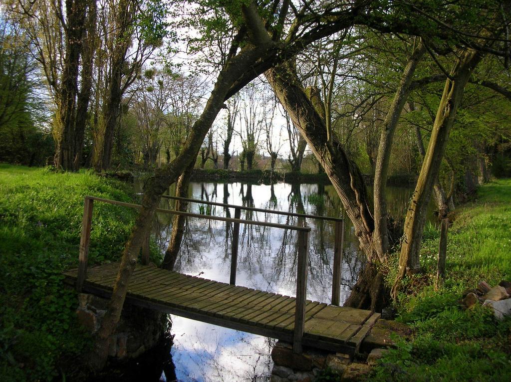 Domaine De Chatenay - Le Mans Saint-Saturnin  Dış mekan fotoğraf