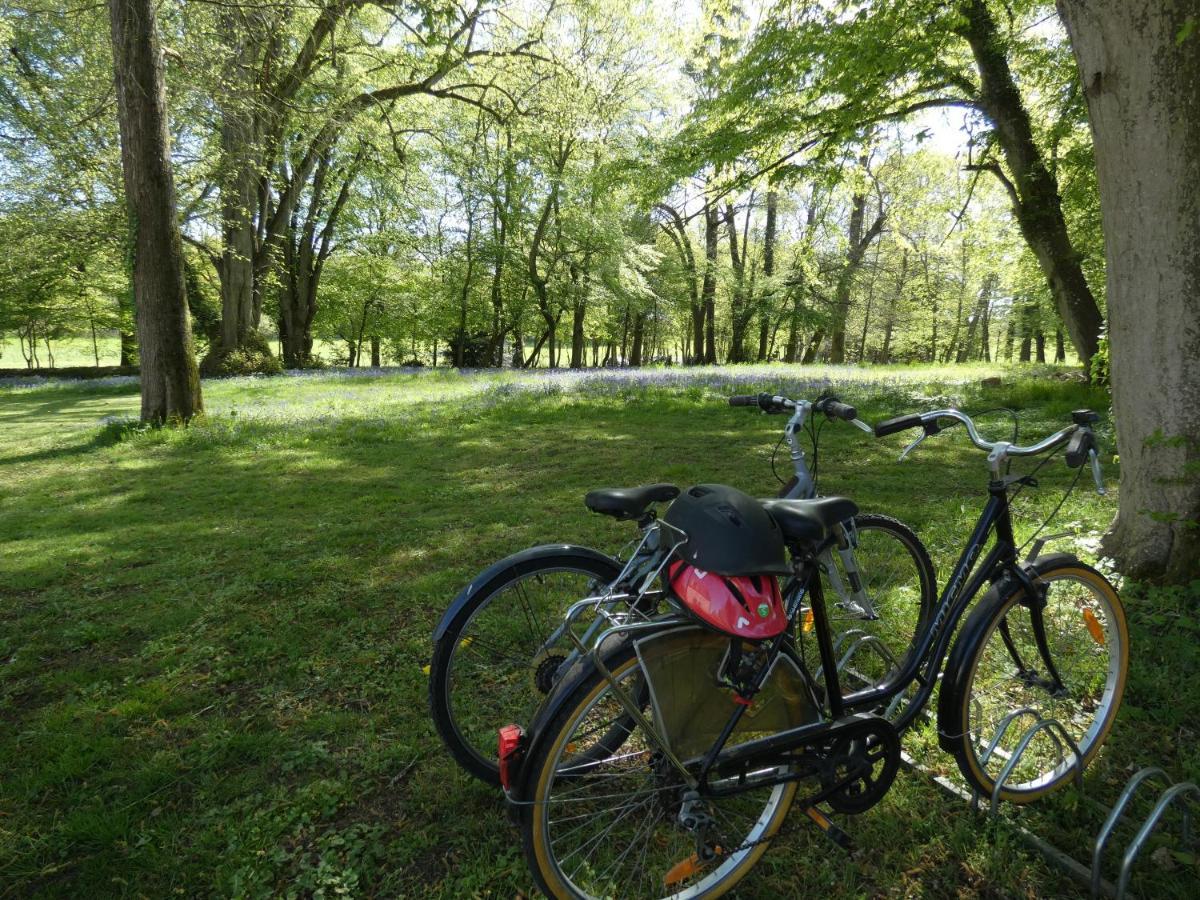 Domaine De Chatenay - Le Mans Saint-Saturnin  Dış mekan fotoğraf