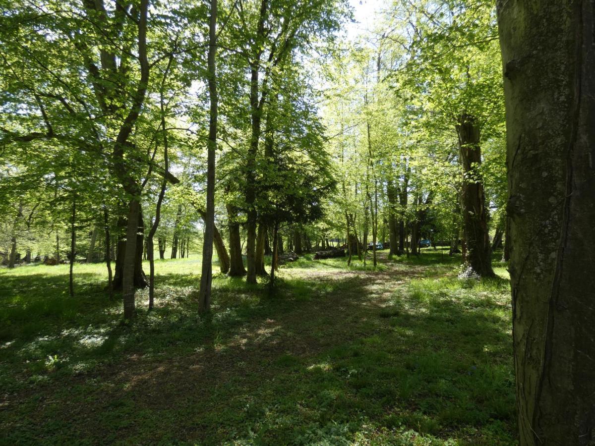 Domaine De Chatenay - Le Mans Saint-Saturnin  Dış mekan fotoğraf