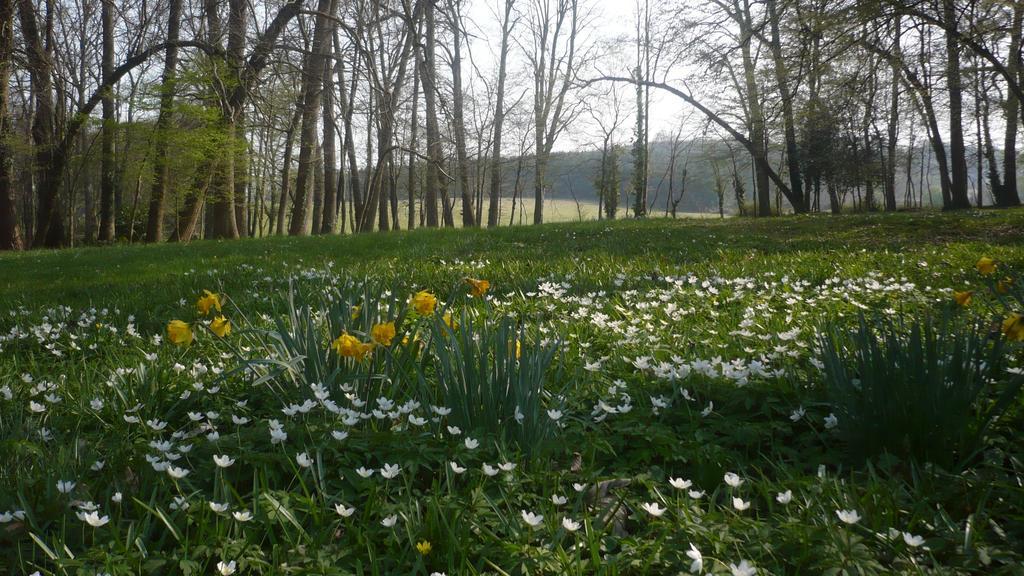 Domaine De Chatenay - Le Mans Saint-Saturnin  Dış mekan fotoğraf